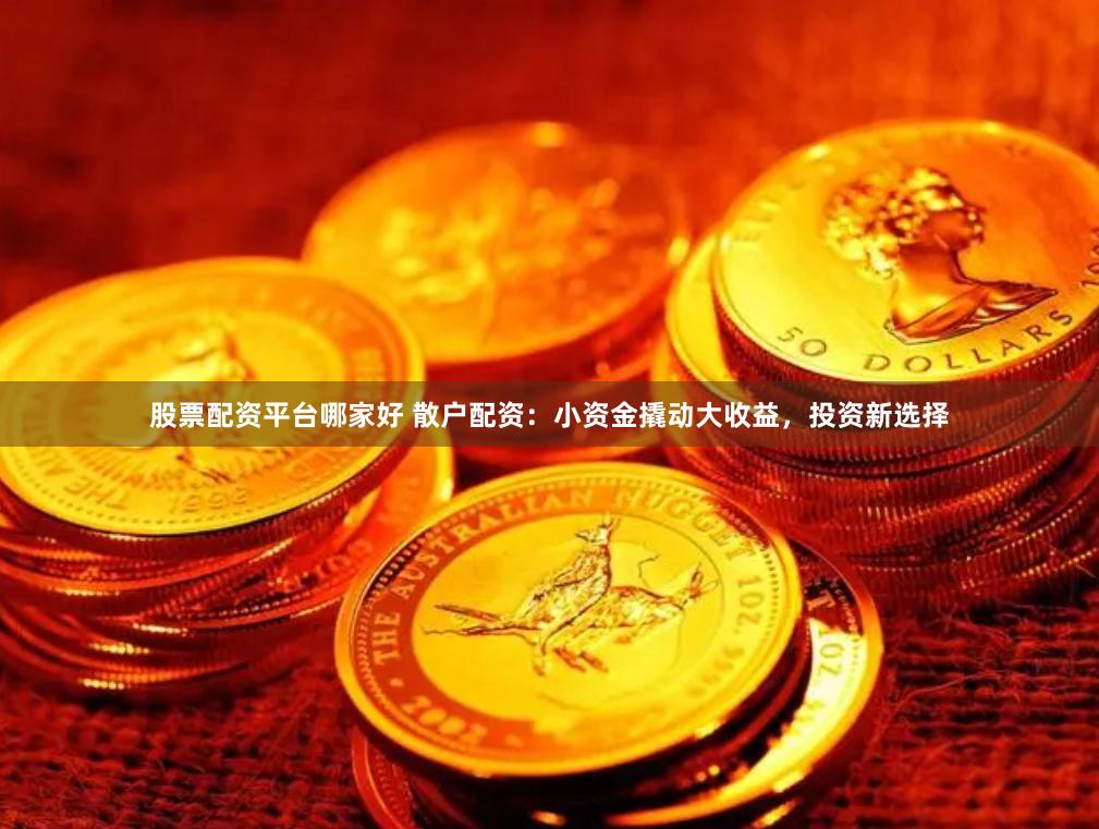 股票配资平台哪家好 散户配资：小资金撬动大收益，投资新选择
